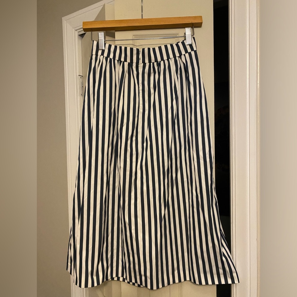 Zara Skirt